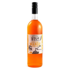Сироп WTS(ВТС) Манго 1л шт.